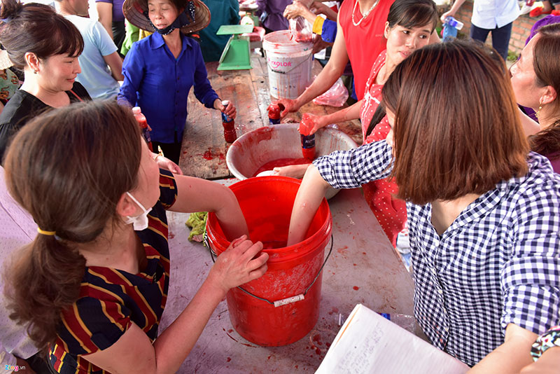 Mở cửa miễn phí, hội chọi trâu Hải Lựu vỡ trận